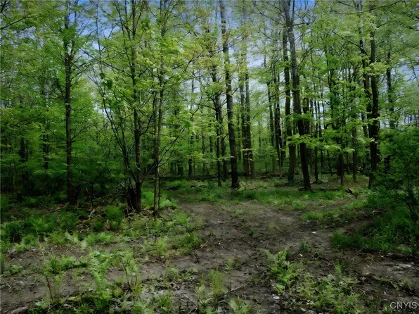 Doyle Rd #37, West Edmeston, NY 13485