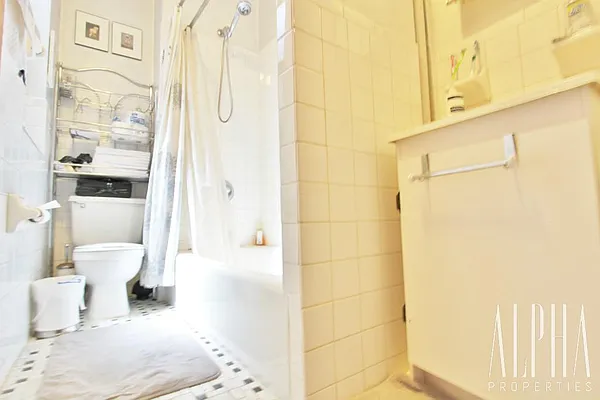 Rented by Alpha Properties NYC I LLC | media 28