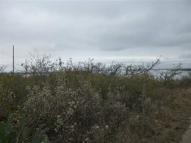 2nd image of 102 Sawtooth Rd