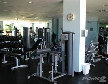 4th image of 5660 Collins Ave APT 10C