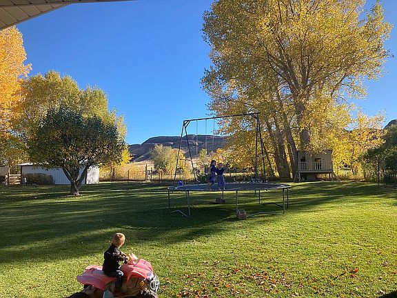 Back yard from porch (fall)