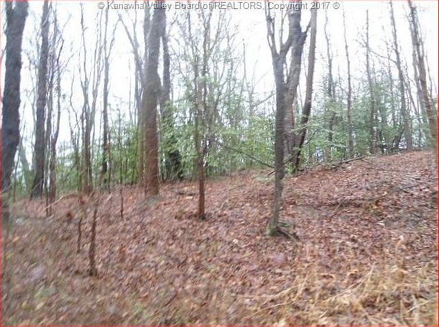 2nd image of 203 Thurston Dr