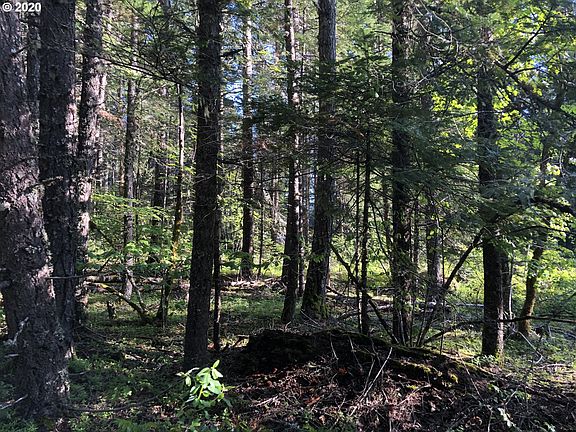 5th image of 22 McIlroy Creek Rd #Bz