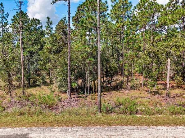 00 SE 130TH CT LOT 12, DUNNELLON, FL 34431