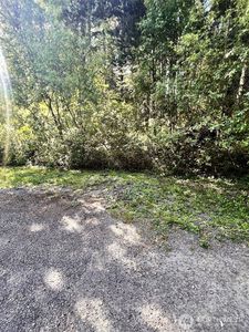 61 NE Fern Court, Tahuya, WA, 98588