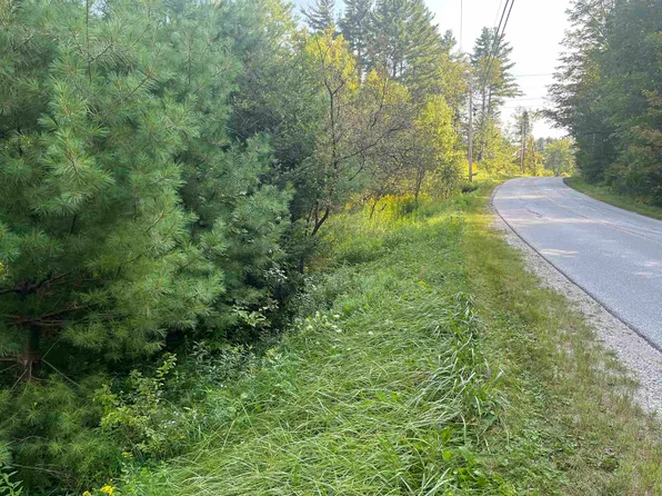 393 Belmont Road, Mount Holly, VT 05730
