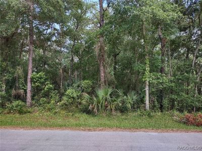 9562 W Laurel Oak Ln, Crystal River, FL, 34428