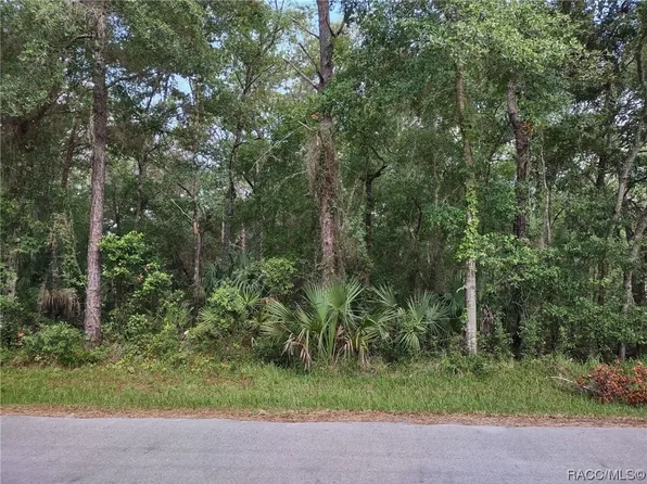 9562 W Laurel Oak Ln, Crystal River, FL 34428