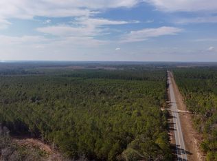 0 Tillman Cemetery Rd, Lumber City, GA 31549