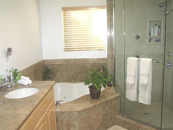 Dreamy master bath w/ spa tub and steam/sauna shower 