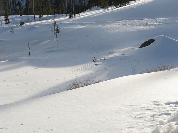 2nd image of 197 County Rd 4037