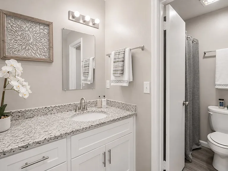 Split-Bath Design Separates Sink and Shower for Convenience