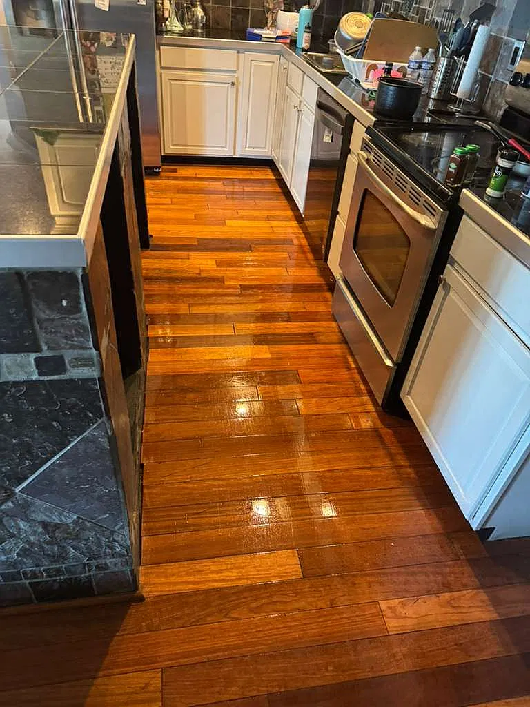 1 bed, $850 — Photo 3