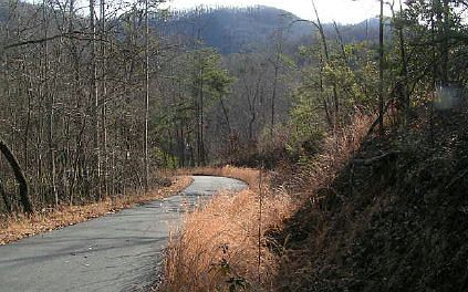 1st image of Fox Springs Dr