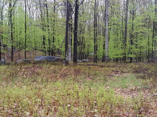 6218 Oneida Way, Milford, PA 18337