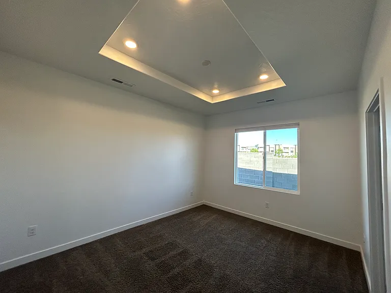 Primary bedroom with tray ceiling