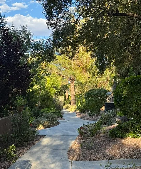 10004 Camino Loma Verde Ave — Photo 35