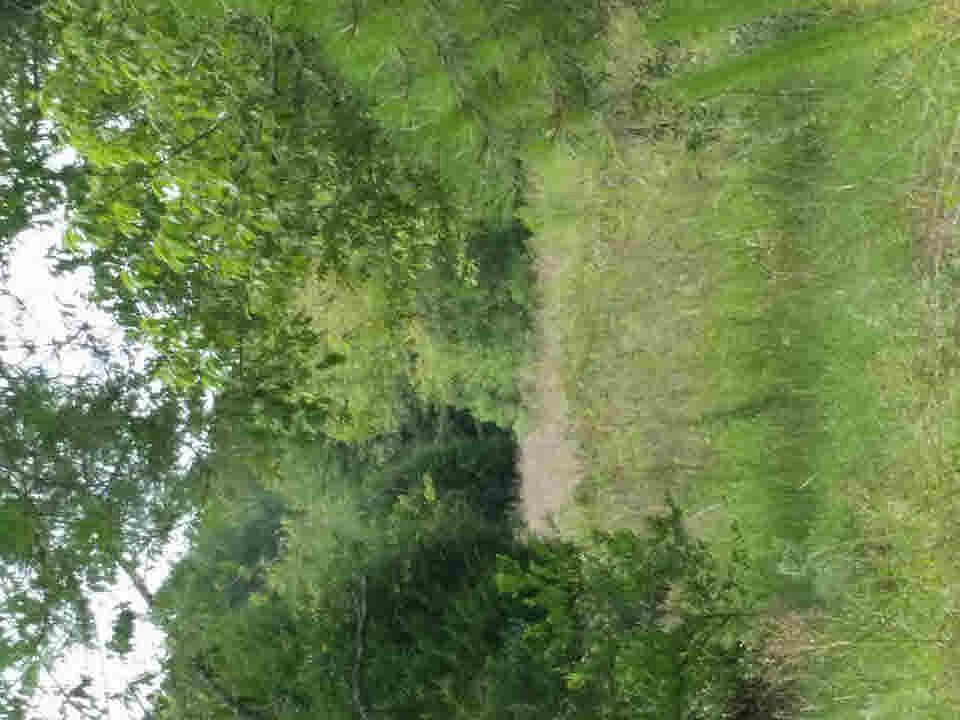2nd image of 117 Sandspur Rd