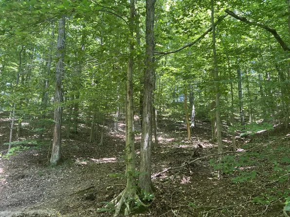 0 Caney Branch Rd Lot 10/11, Stewart, TN 37175