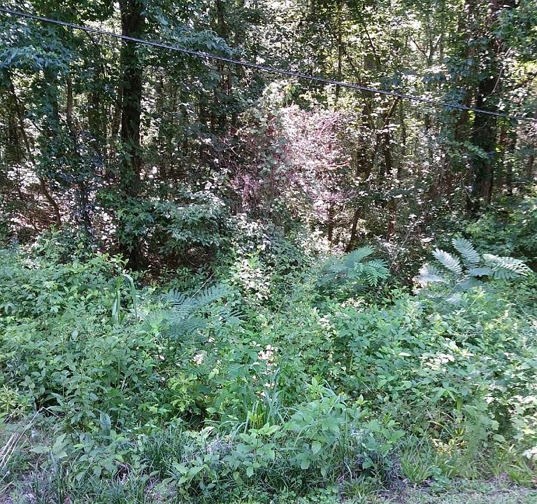 2nd image of 1997 Central Road Ext