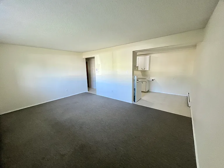 10824 112th St NW #1012 — Photo 3