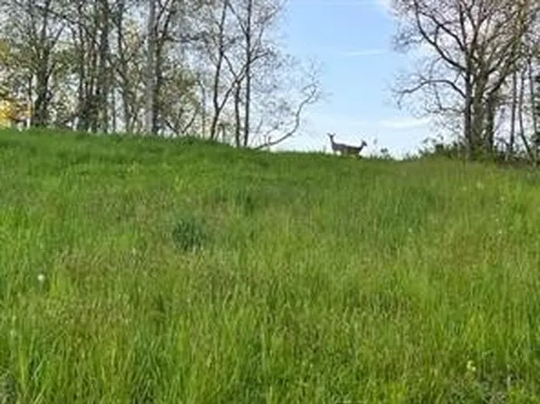 LOT 2/9A Warne Ln, Washington, PA 15301