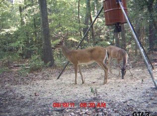 Tbd Pin Oak Rd, Big Sandy, TX 75755