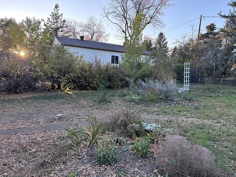 11065 Pinyon Dr — Photo 19