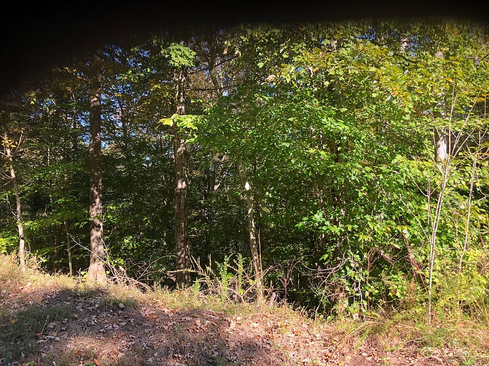 2nd image of Alum Dr
