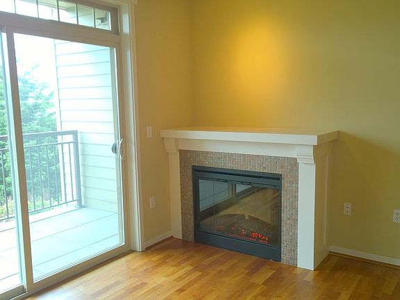 Fireplace and patio door