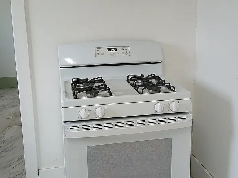 Gas stove with vent hood
