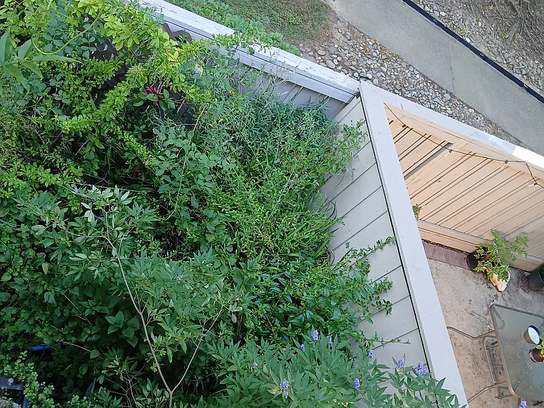 Elizabeth Ln — Photo 21