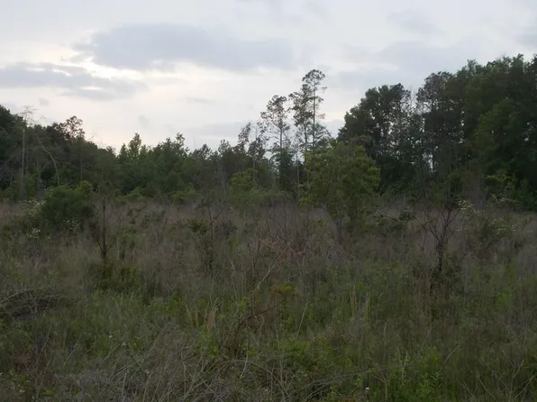 1 Chess Bankston Rd, Mount Hermon, LA 70450