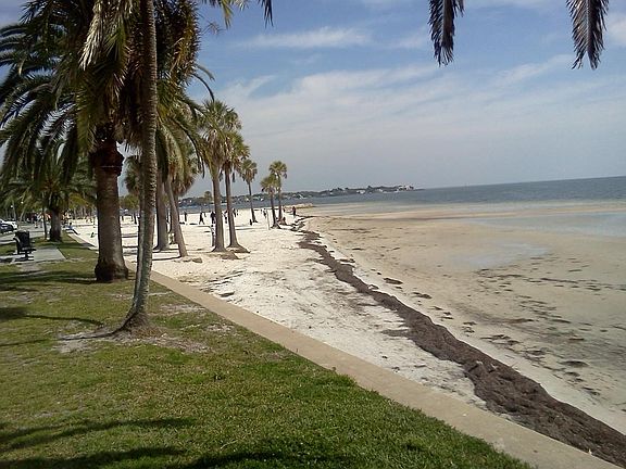 Downtown St Pete beach, 10 min from condo