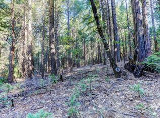 13688 Red Dog Rd, Nevada City, CA 95959