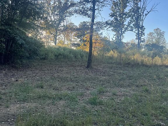 2nd image of 0 Pineview Rd