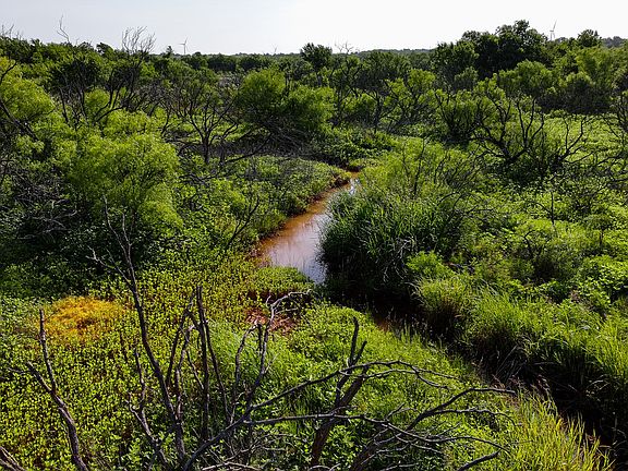 2nd image of Terrapin Rd