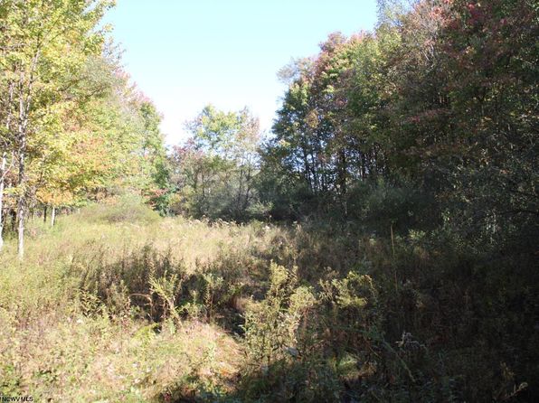 1429 Sand Bank Rd, Masontown, WV 26542
