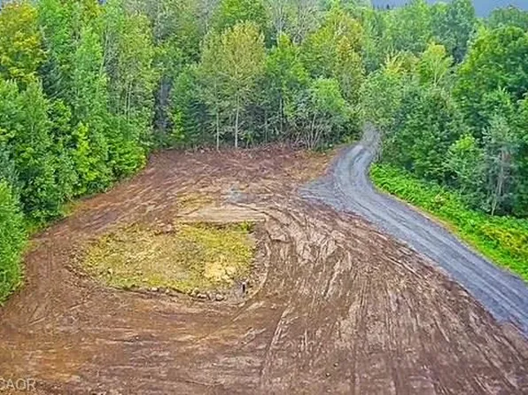 3275 Musclow Greenview Rd, Hastings Highlands, ON K0L 1C0