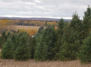 9 Mile Rd, Kaleva, MI 49645