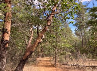 141 Dreamhill Dr, Williams, OR 97544