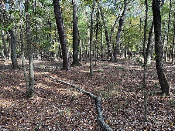 3rd image of 0 Old Pageland Marshville Rd