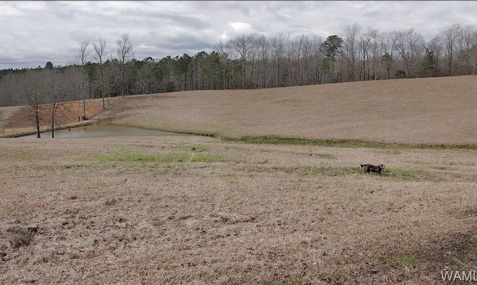 1st image of 14588 Highway 171