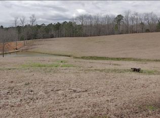 14588 Highway 171, Northport, AL 35475