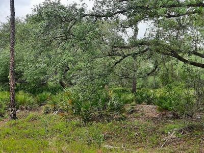 Oleander Dr LOT 11, Indian Lake Estates, FL, 33855
