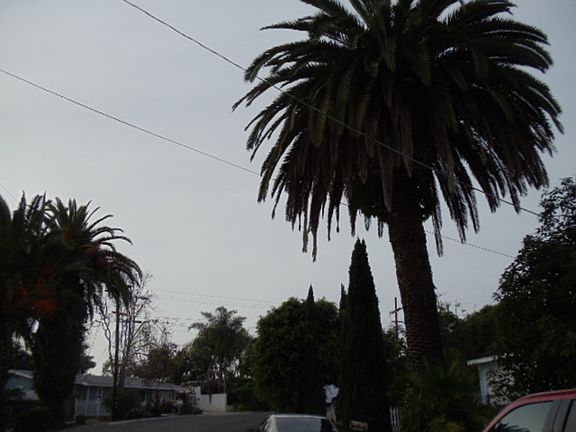 4th image of 1506-08 San Jose St