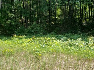 Lots 6 & 7 Townline Lake Rd, Harrison, MI 48625