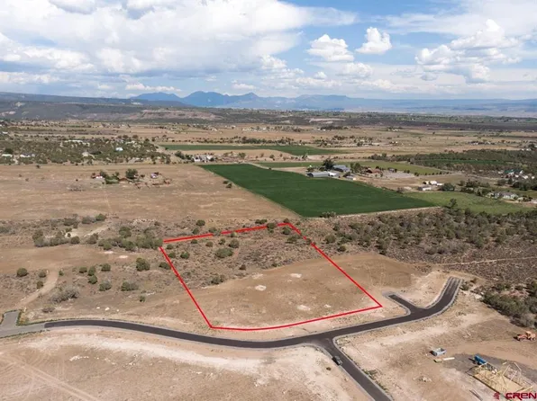 Lot 6 Pine Ridge Road, Cedaredge, CO 81413