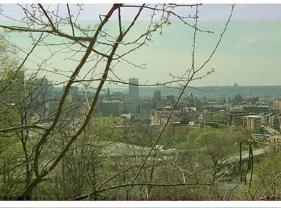 City View from Deck