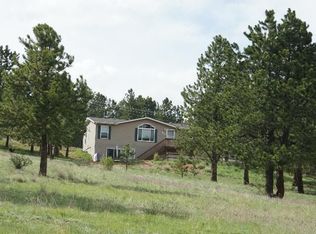 1819 Pathfinder Rd, Florissant, CO 80816